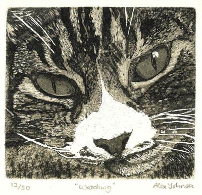 Watching by Alex Johnson