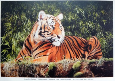 Contemplation by Jacqueline Gaylard