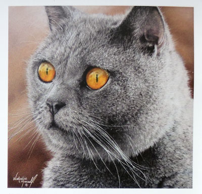 Blue by Natalie Mascall