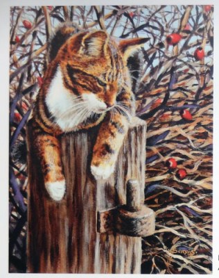 His Favourite Seat by Sarais Crawshaw 