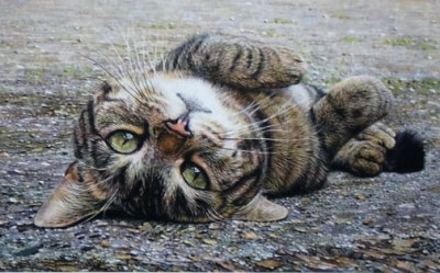 Topsy Turvy by Sara Butt 