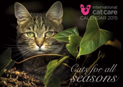 ICC-calendar2015Cover 2