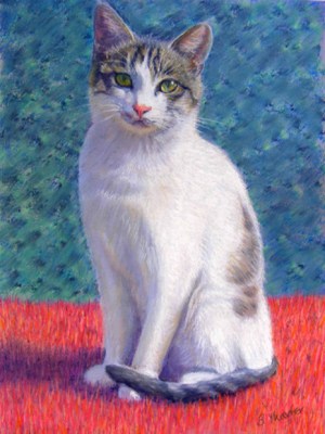 Pink Fluffy Throw Barbara Thaxter