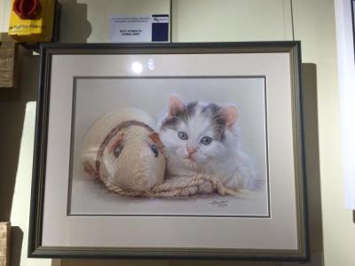 france-bauduin-best-domestic-animal-UKCPS-2015