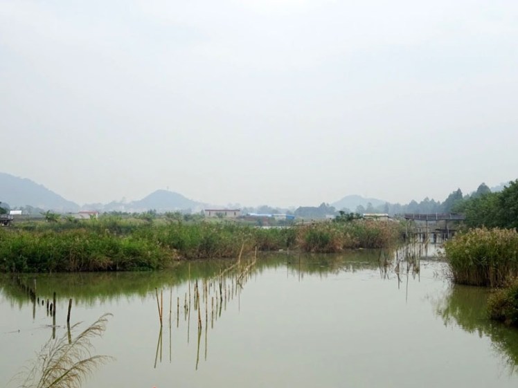 wetland reserve zhuhai