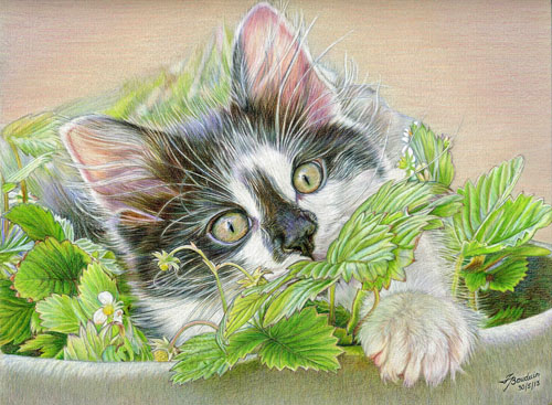 Peekaboo - France Bauduin