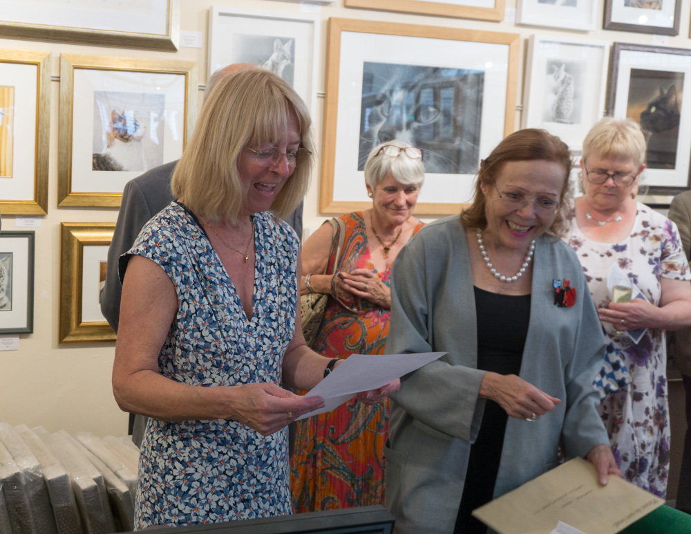 SOFA 2017 Private View