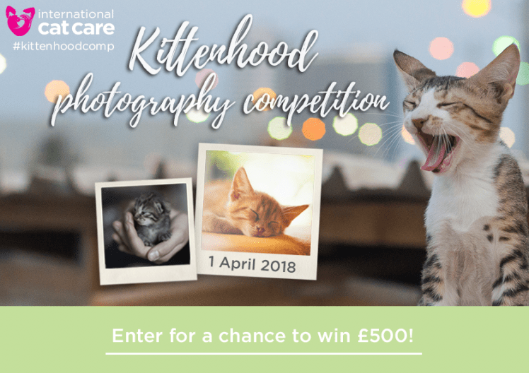 29594378_938712922973359_9175411277646394627_n