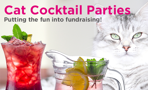Cat Themed Cocktail Parties – Society Of Feline Artists