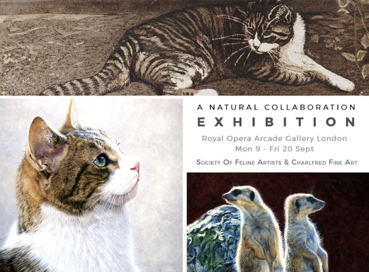 a natural collaboration 12