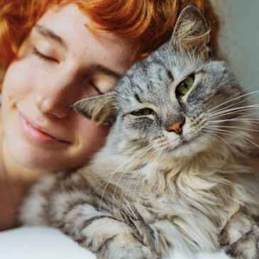 Behavioural changes can be a sign of dementia in cats. larisa Stefanjuk/ Shutterstock