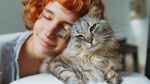 Behavioural changes can be a sign of dementia in cats. larisa Stefanjuk/ Shutterstock