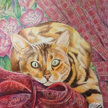 Curtain Call by Ellen Mary Hopkins