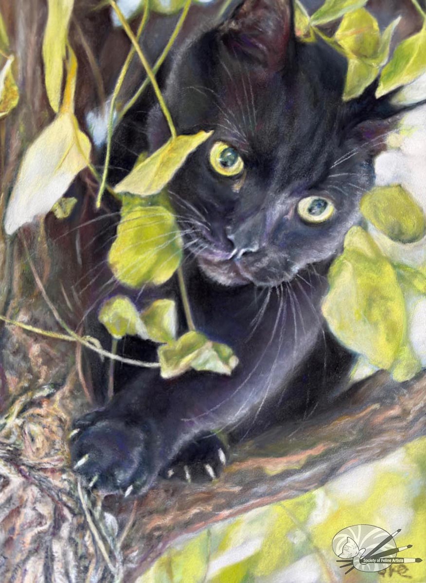 In Hiding by Lucy Chambers