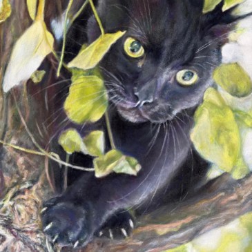 In Hiding by Lucy Chambers