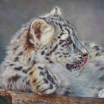 Innocence by France Bauduin S.O.F.A.