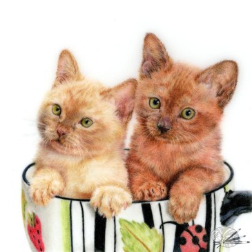 Kit-Teas by Chesca Burrows