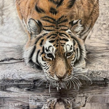 Mirrored Beauty by Helen Turkdogan