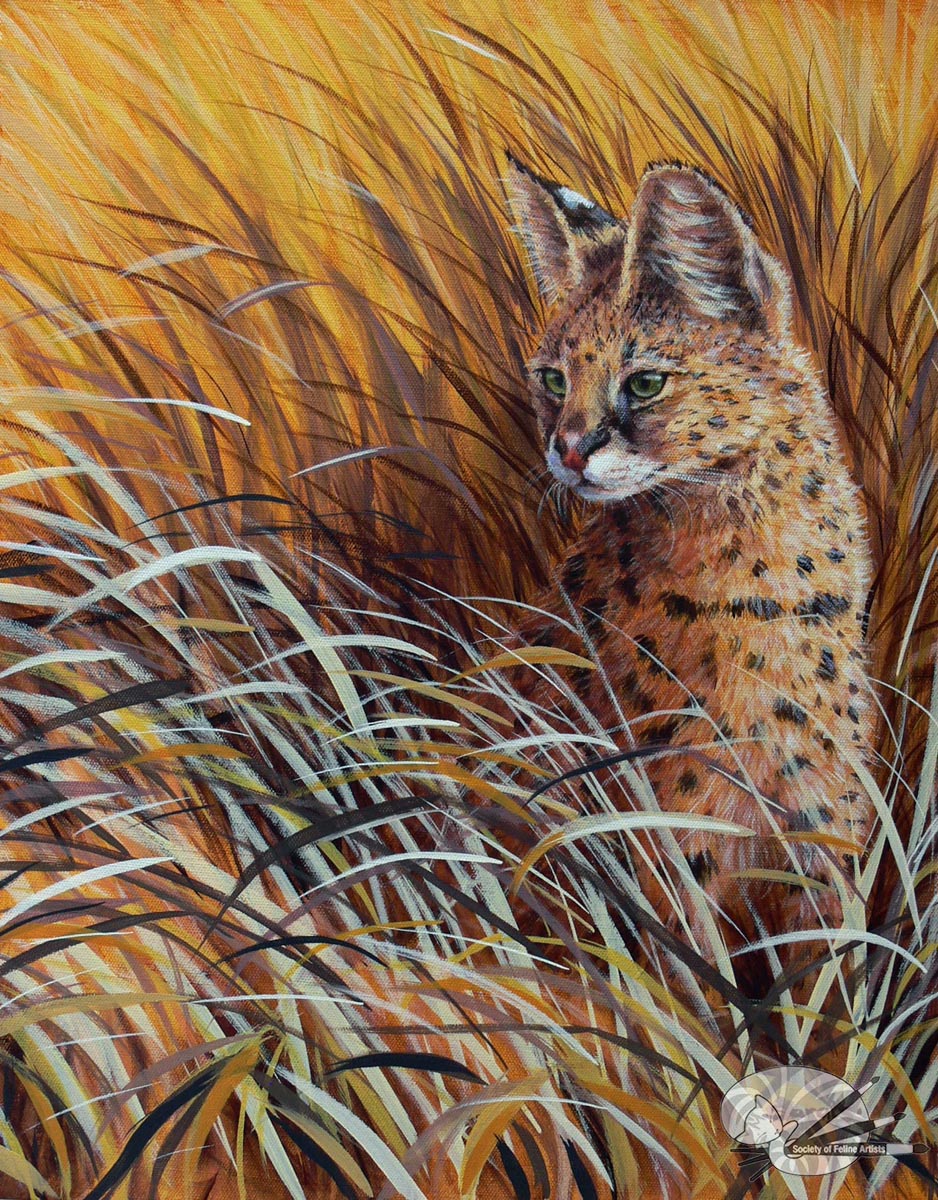 Serval in grass by Sarais Crawshaw S.O.F.A.
