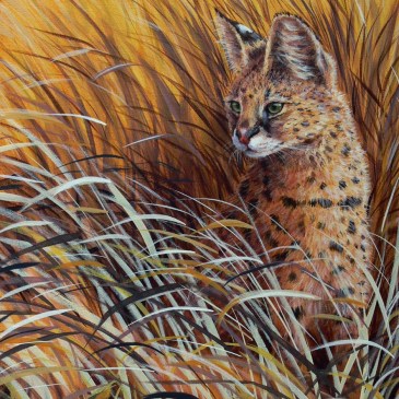 Serval in grass by Sarais Crawshaw S.O.F.A.