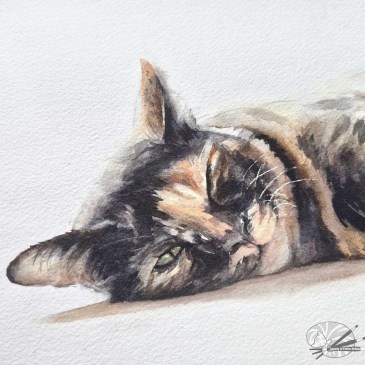 Tortoiseshell Cat by Marie Brown S.O.F.A.