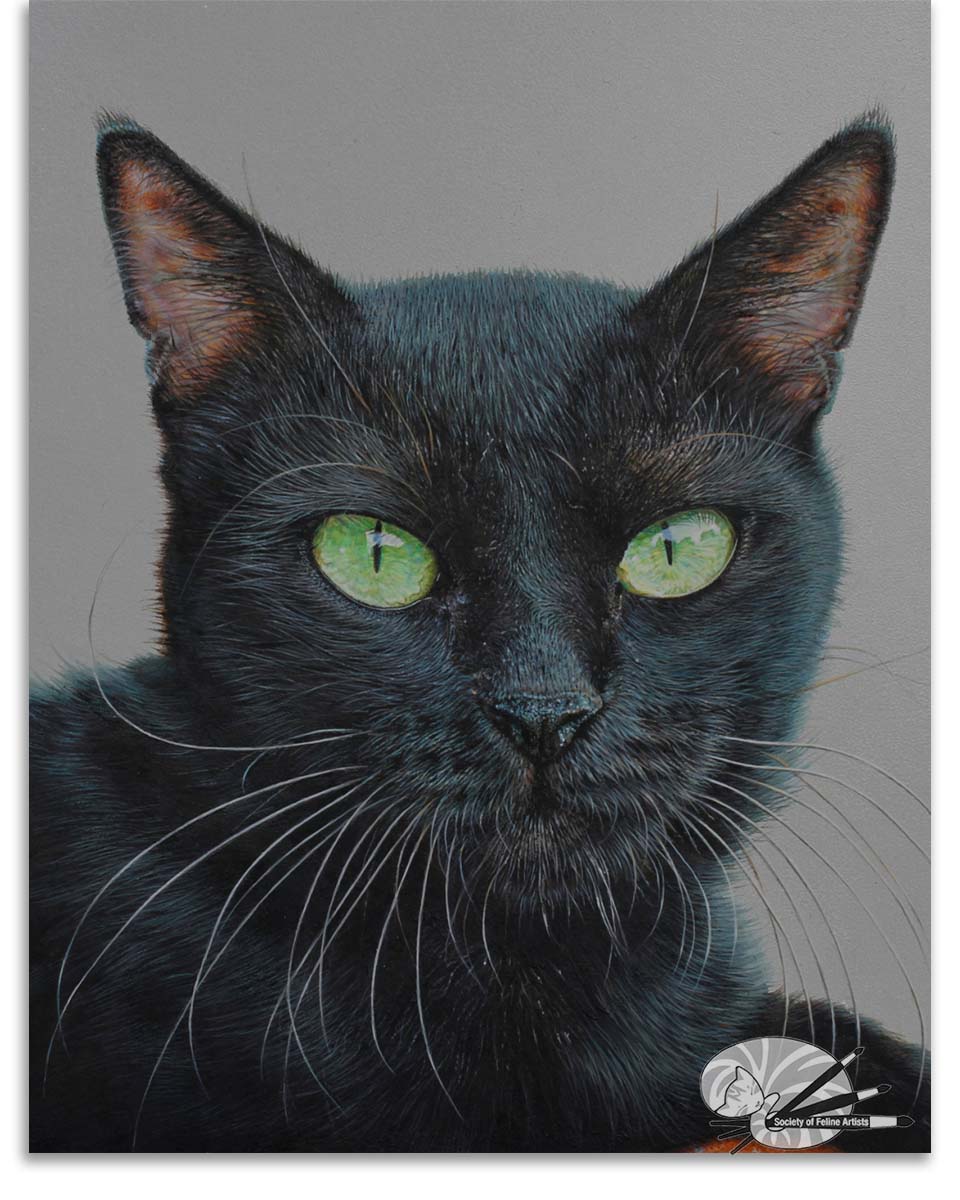 Whiskers by Sara Butt S.O.F.A.